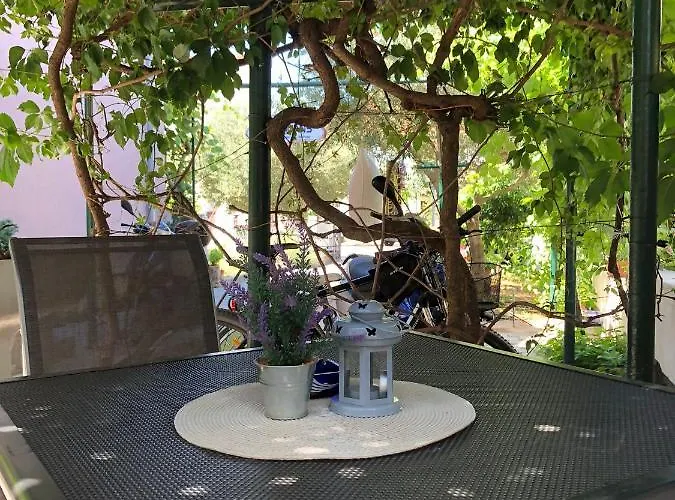 Barbara * ビオグラード・ナ・モル