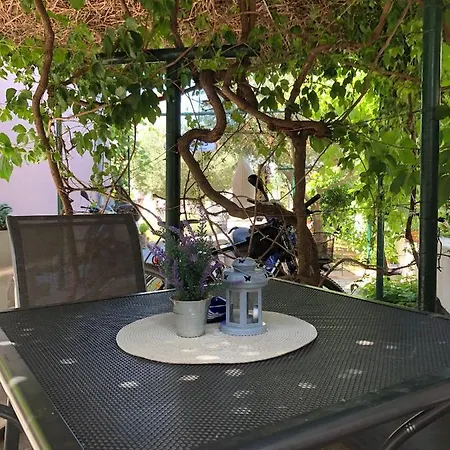 Barbara * بيوغْغاد نا موغو